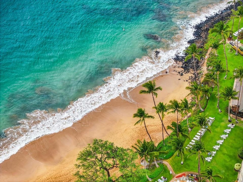Nearby landmark, Day, Natural landscape, Bird's eye view, Beach, Sea view, sunbed