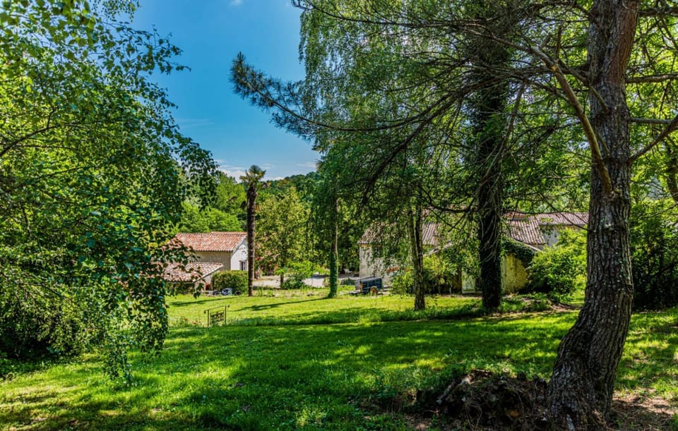 Spring, Day, Natural landscape, Garden, Garden view