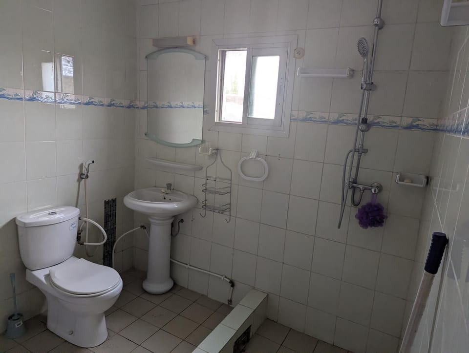 Shower, Toilet, Bathroom, bidet