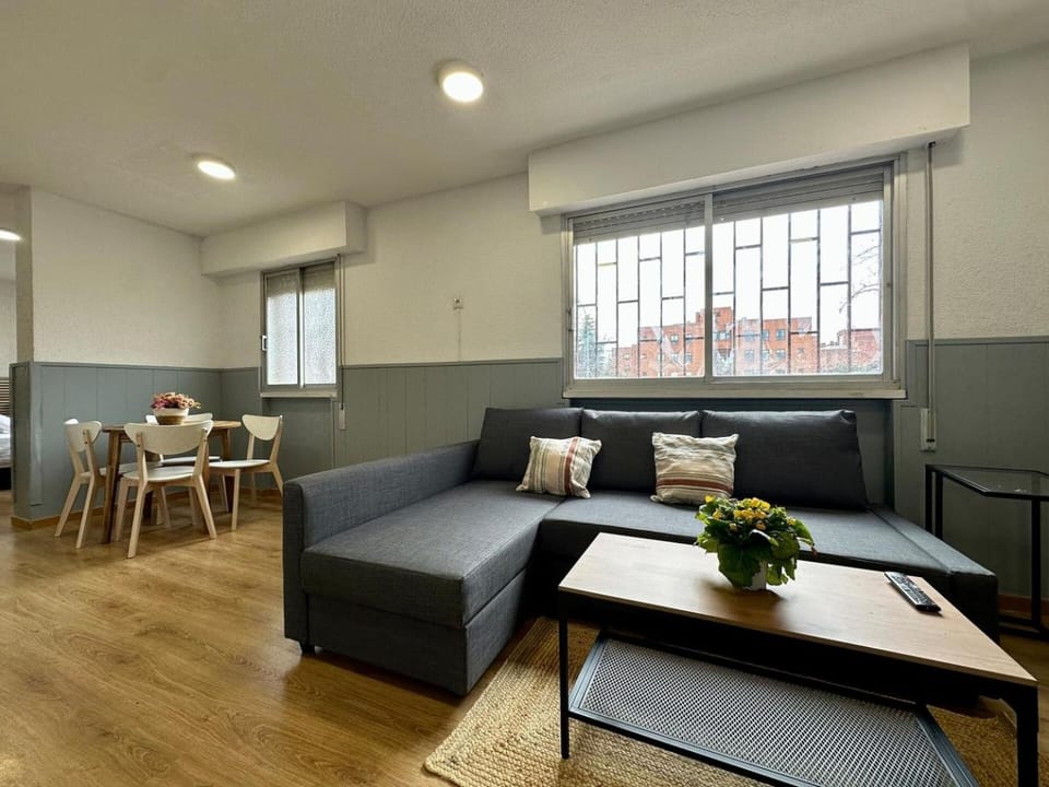 Spacious and bright 1 bedroom apartment Apartment in Madrid