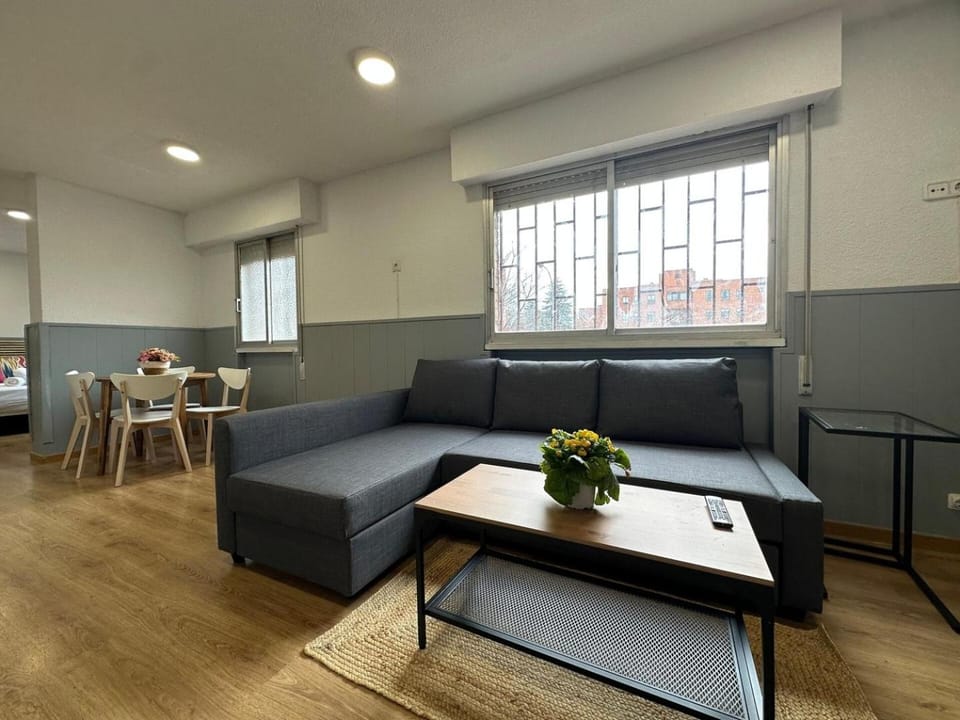 Spacious and bright 1 bedroom apartment Apartment in Madrid
