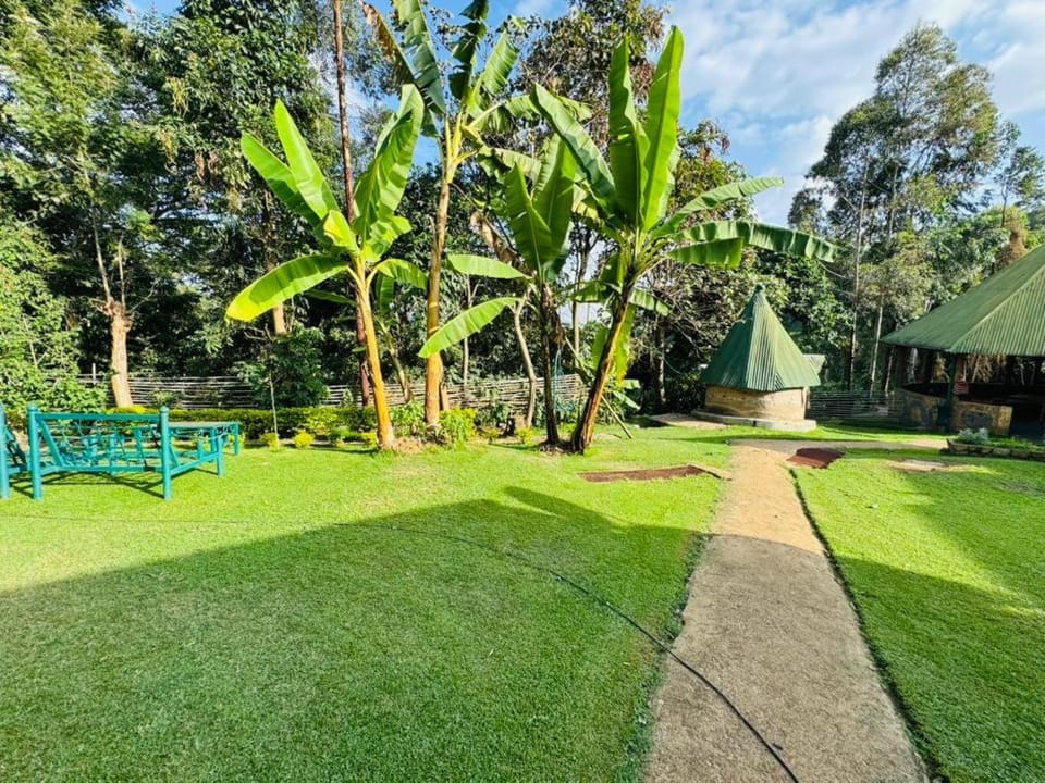 Oldadai Falls Retreat Bed and Breakfast in Arusha