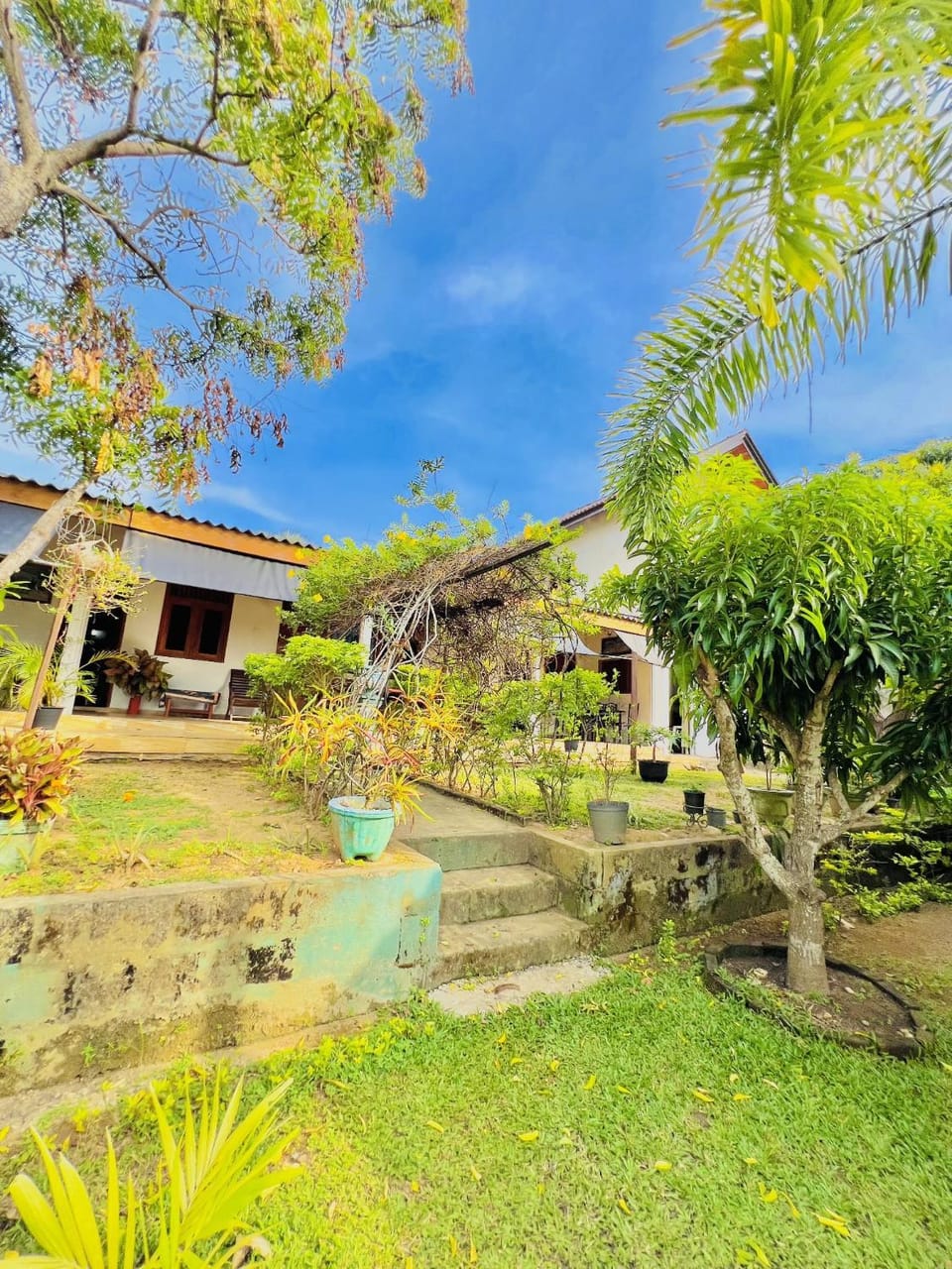 Garden, Garden, Garden view, Garden view