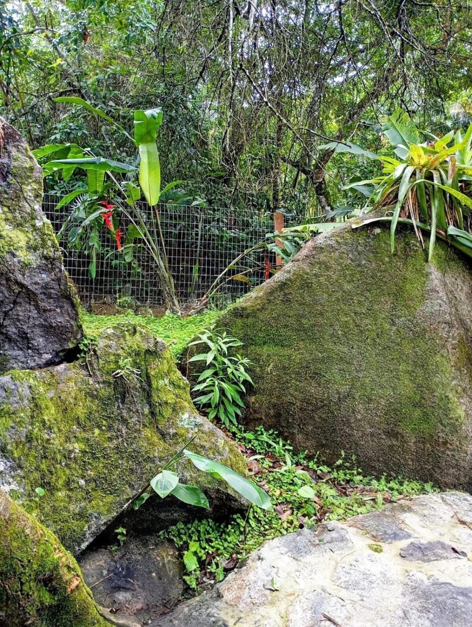 Casa Claudia Cocaia Aconchego na natureza House in Ilhabela