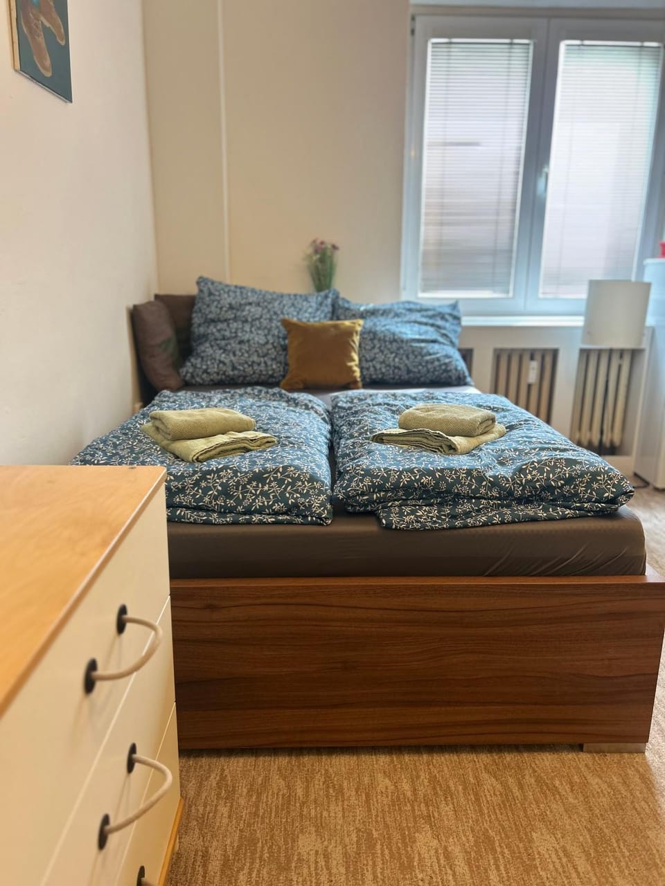 Peaceful apartment - centre in 10 min Apartment in Prague