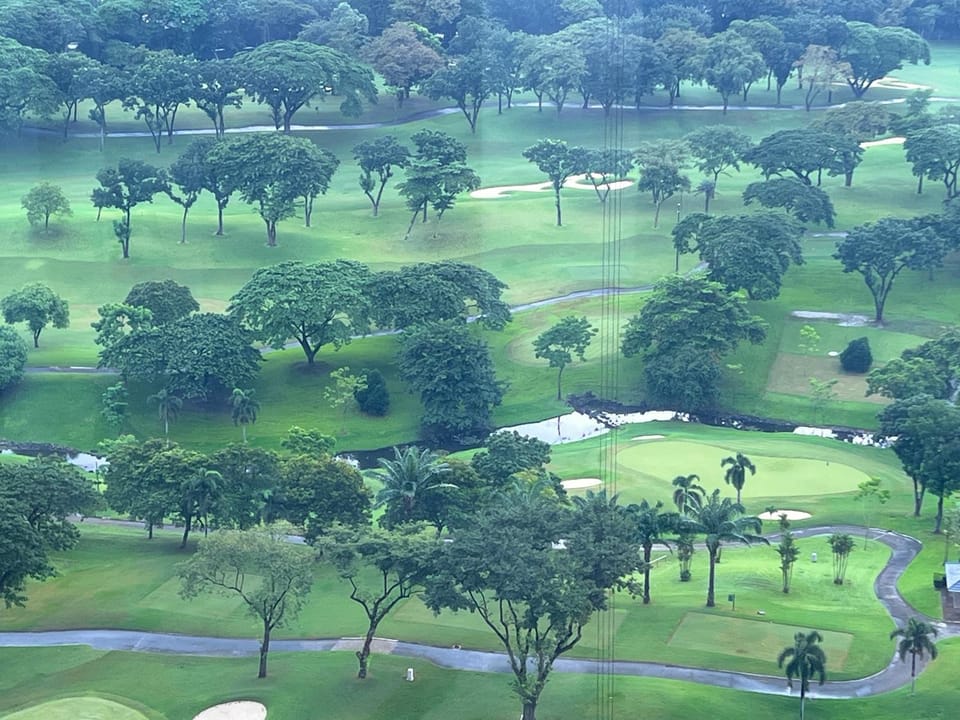 View (from property/room)