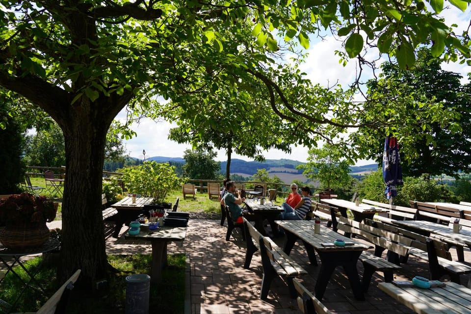 Restaurant/places to eat, People, group of guests