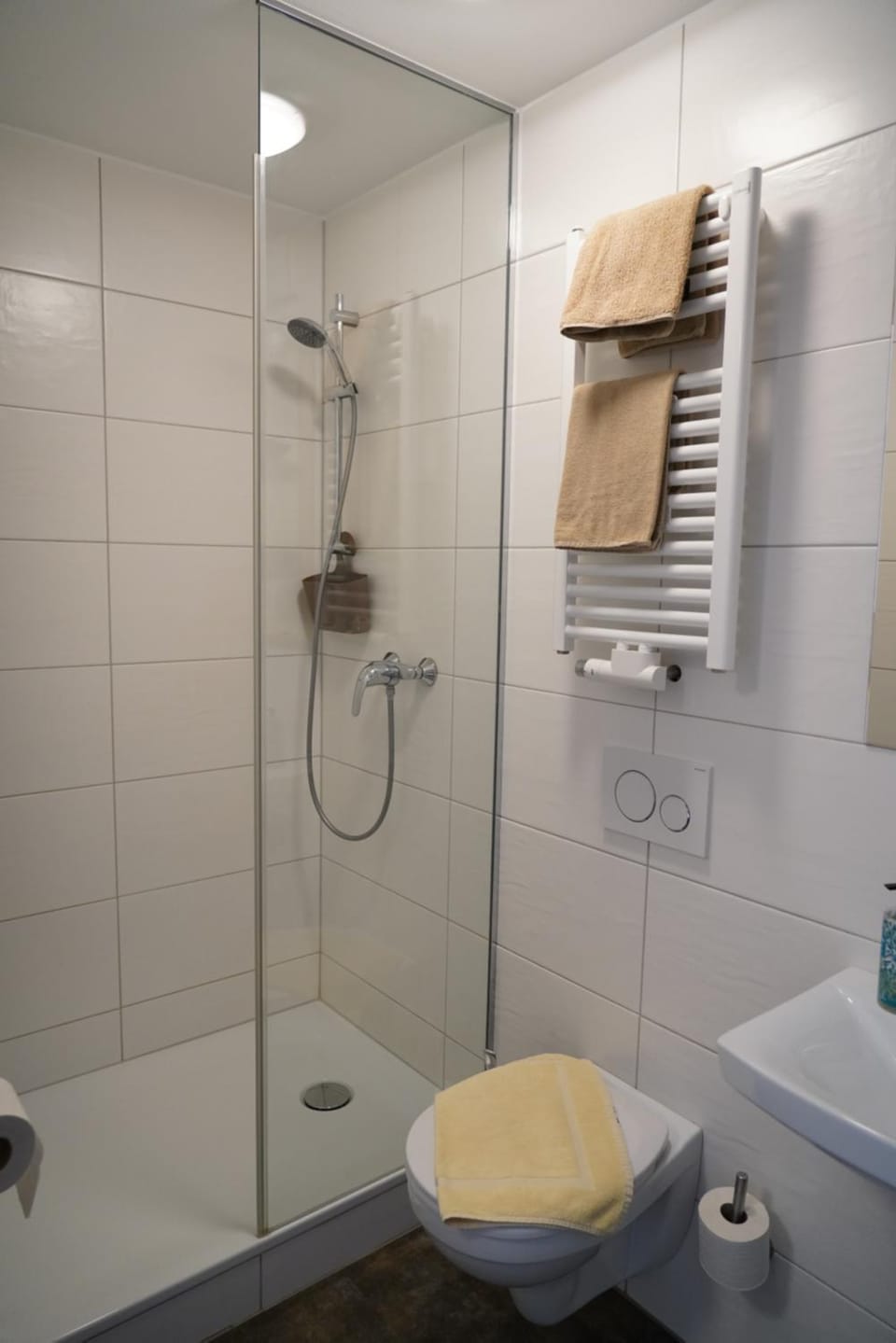 Shower, Bathroom, towels
