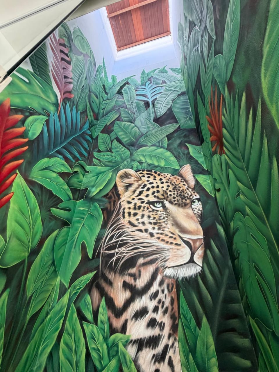 Animals