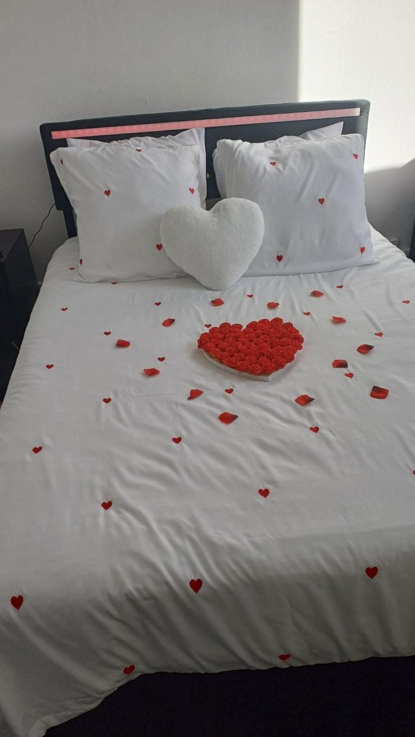 Petit appartement charmant Apartment in Lille