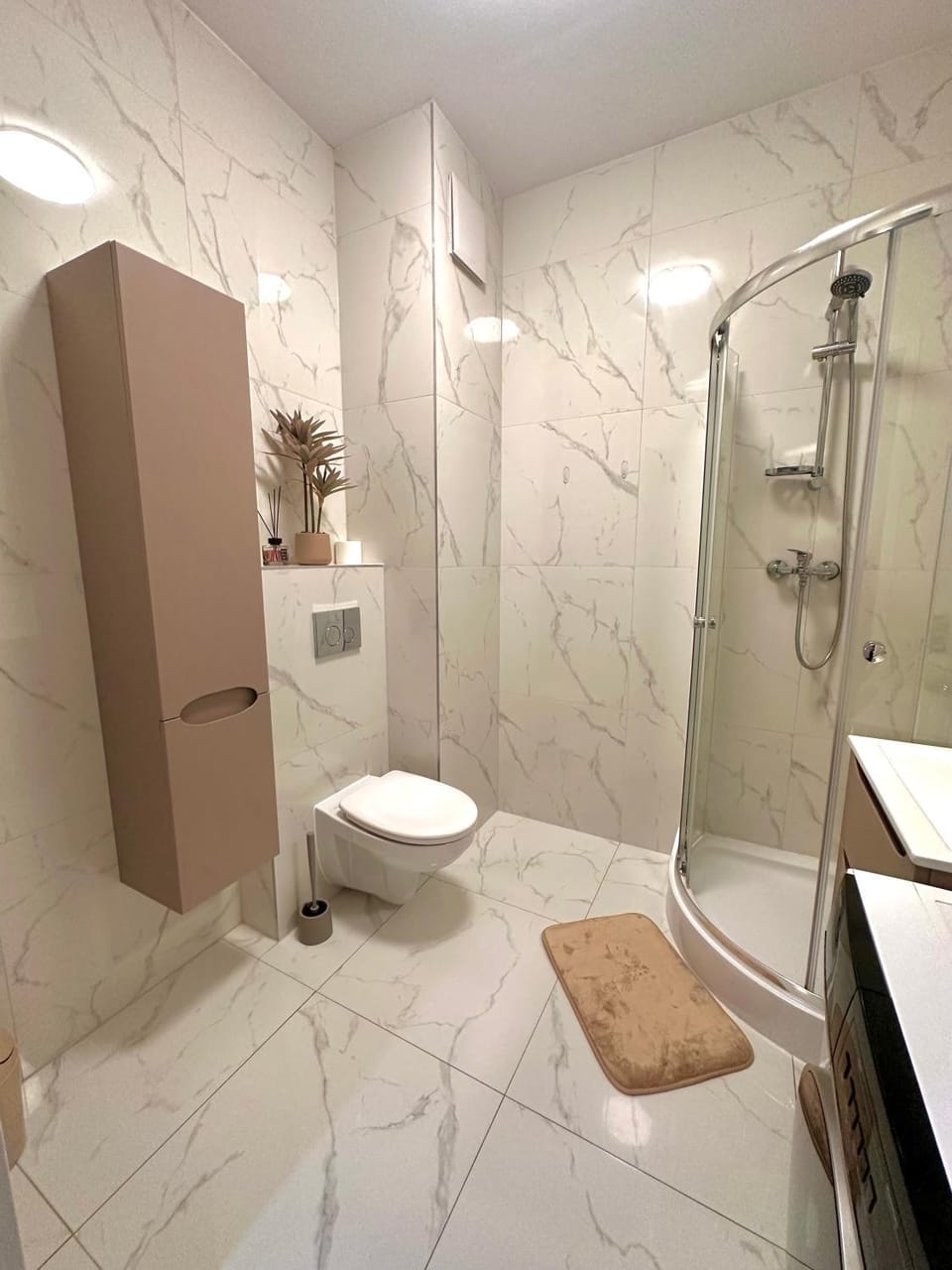 Shower, Toilet, towels