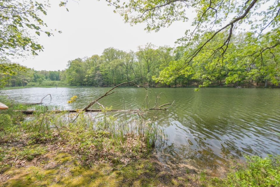 Shadycrest Cove House in Deep Creek Lake