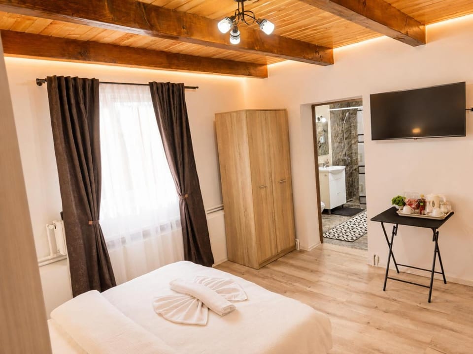 Casa AIDA 2 House in Romania