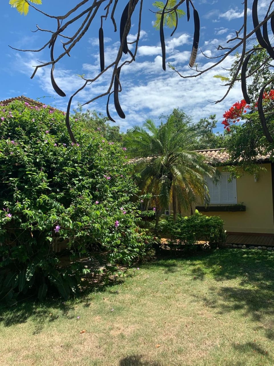 Natural landscape, Garden, Garden view
