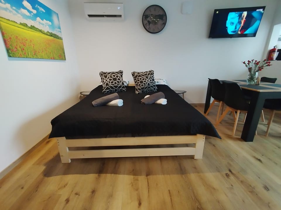 Bed, TV and multimedia, Photo of the whole room, air conditioner