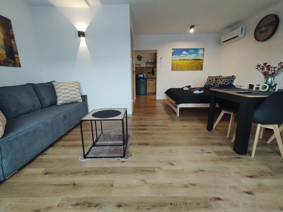 Living room, Seating area, air conditioner