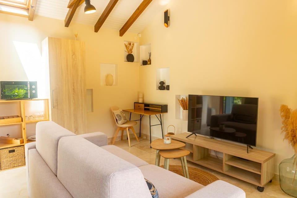 Communal lounge/ TV room, TV and multimedia, internet