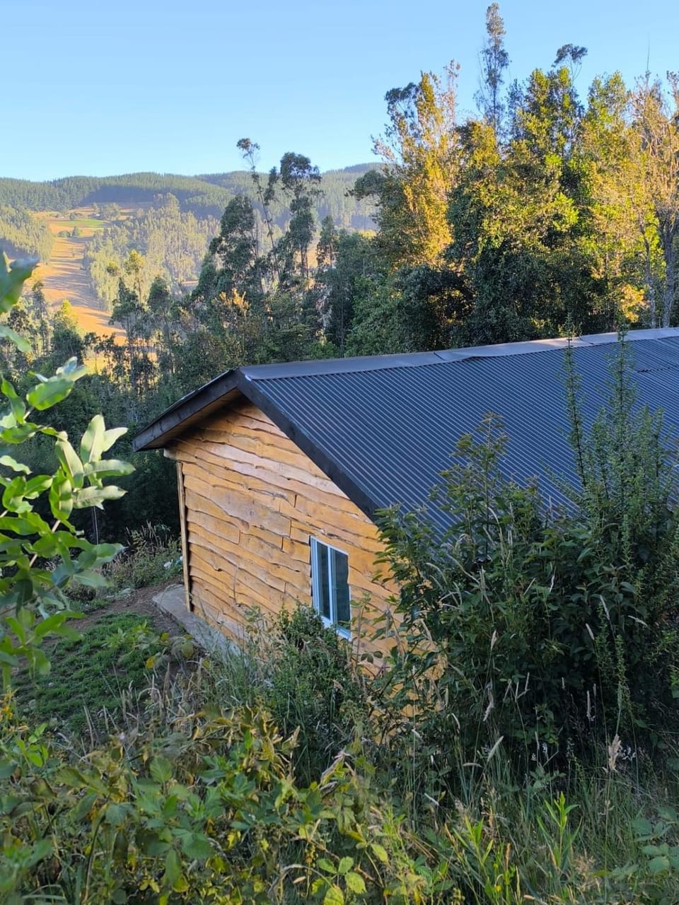 cabaña en la montaña Apartment in Araucania, Chile