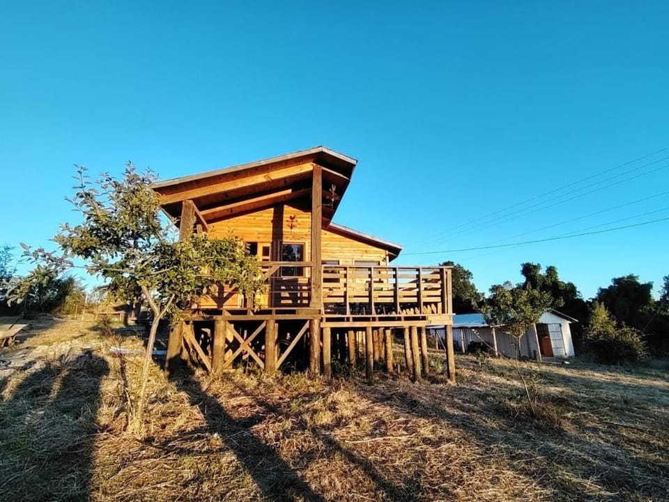 Cabana Llantén House in Araucania, Chile