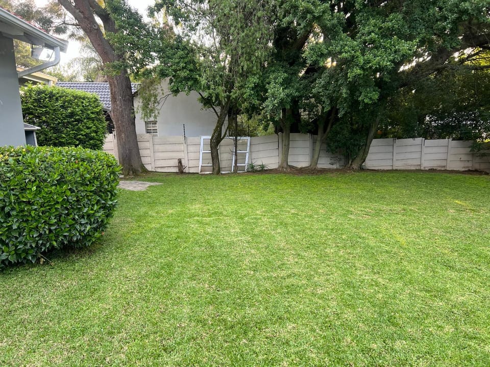 Garden, Swimming pool