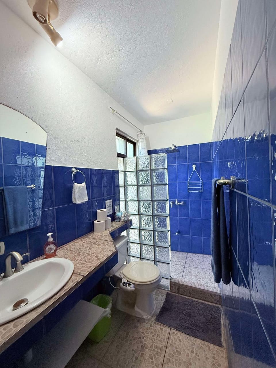 Bohemian Monkey Apartment in Cahuita