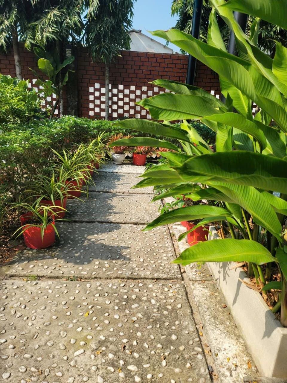 Garden, Garden view