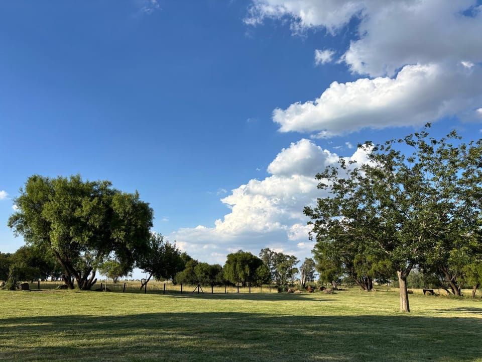 Natural landscape, Garden