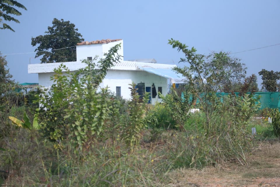 Property building, Garden view