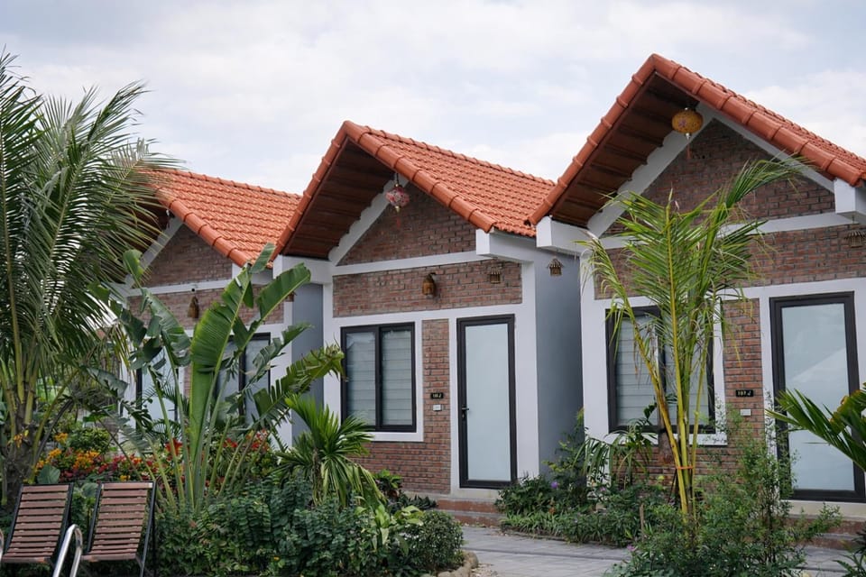 Day, Garden