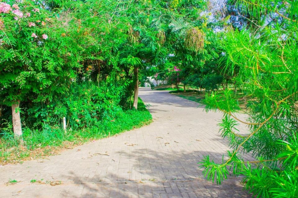 Natural landscape