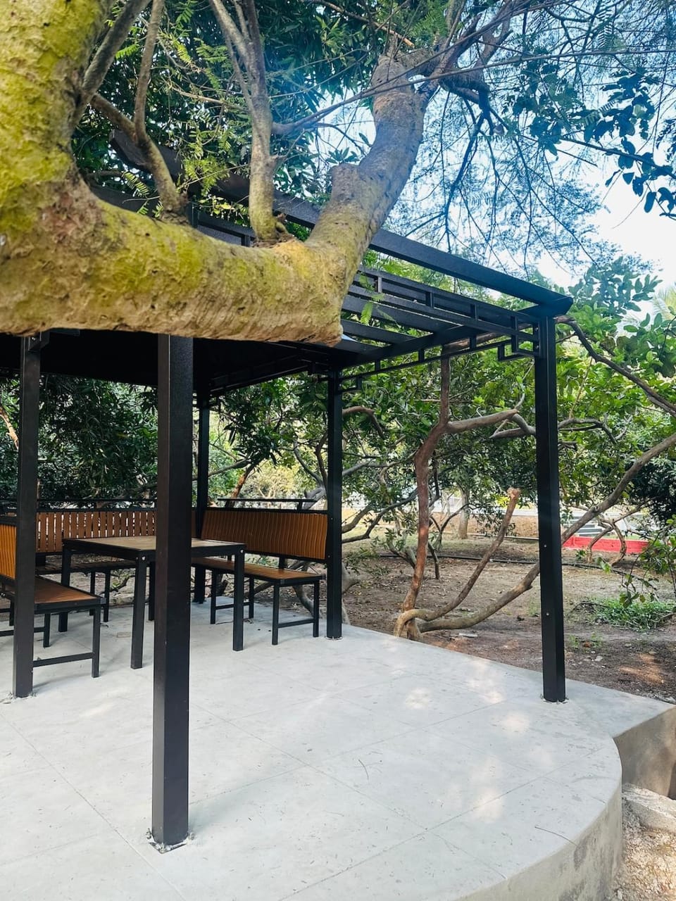 Hidden Acre 83 House in Tamil Nadu