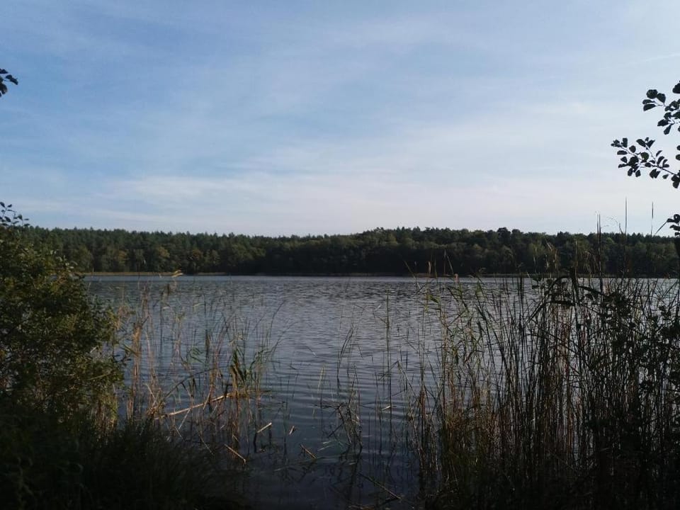 Ferienhaus für 3 Personen umgeben von Wäldern und Seen! House in Mecklenburgische Seenplatte