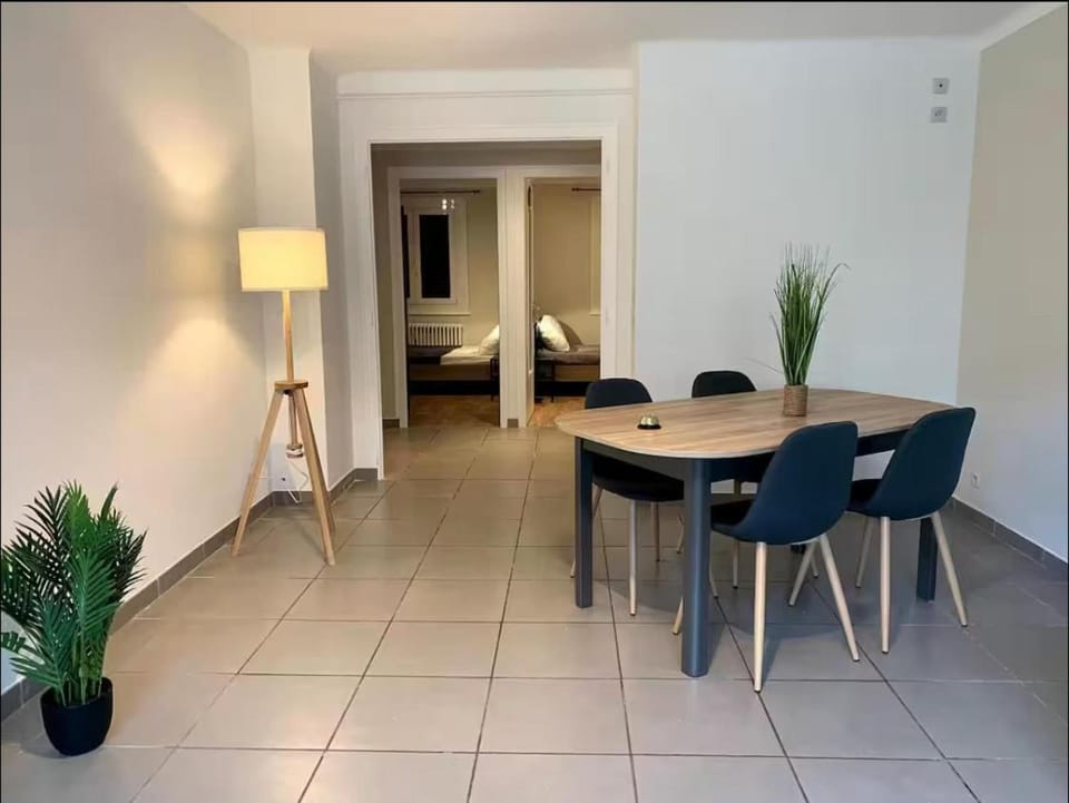 M129 Marquer Magnifique t4 à Annemasse Apartment in Annemasse