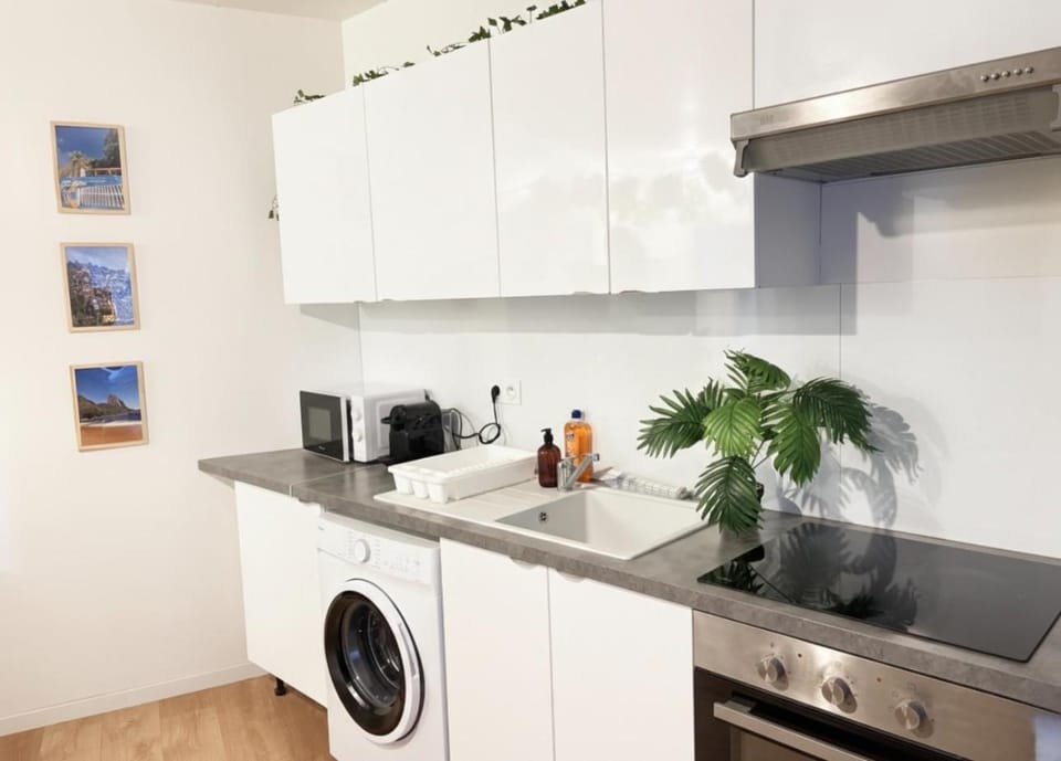 Coffee/tea facilities, stove, washing machine, kitchen