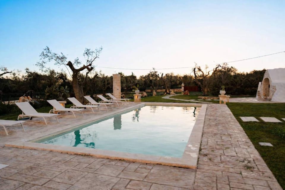 Garden, Garden view, Pool view, Swimming pool, Swimming pool, sunbed