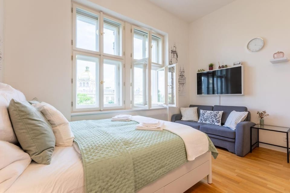 Newly renovated apartment next to the National Museum Apartment in Prague