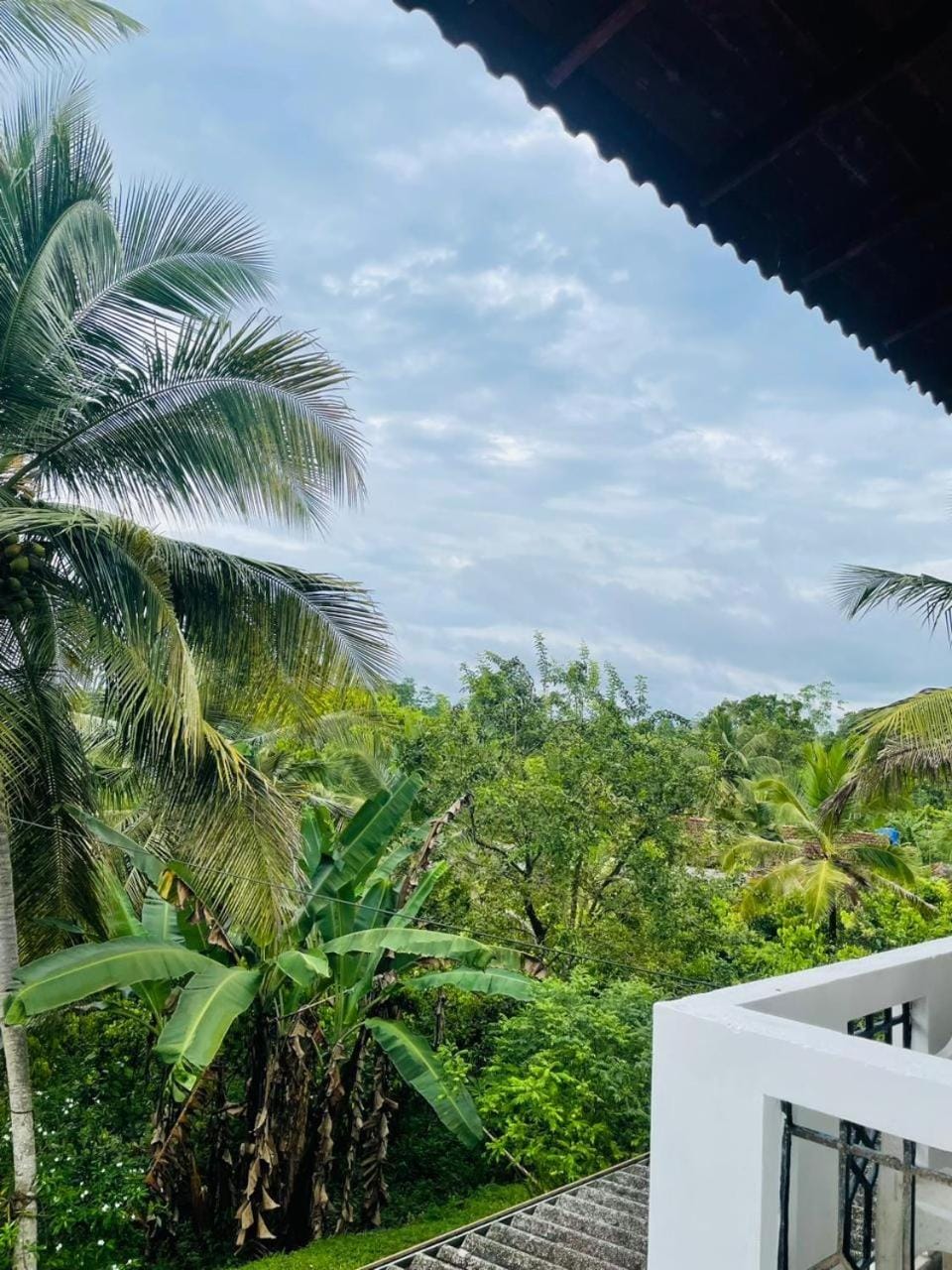 Garden, View (from property/room), View (from property/room)