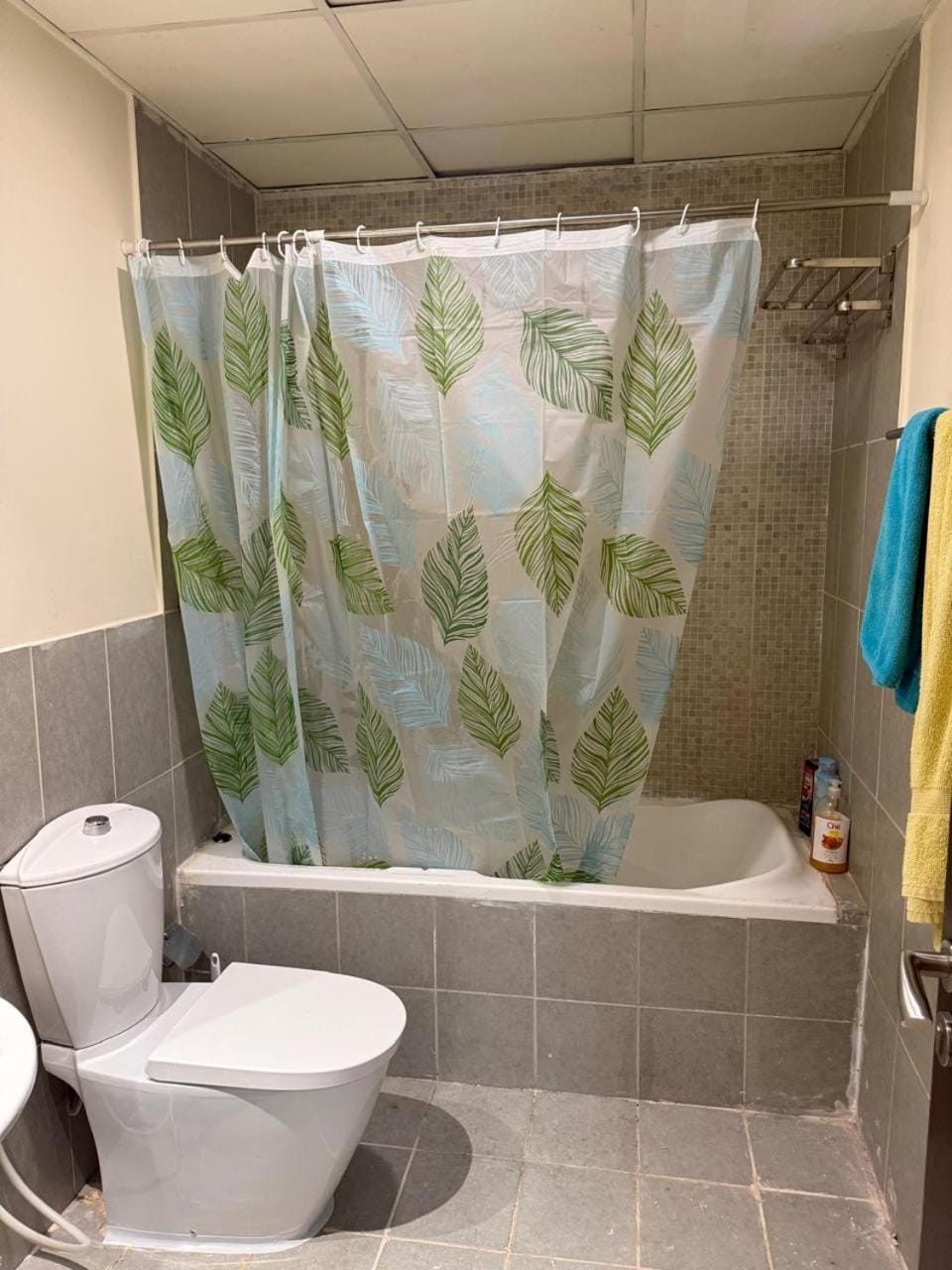Shower, Toilet, Bathroom