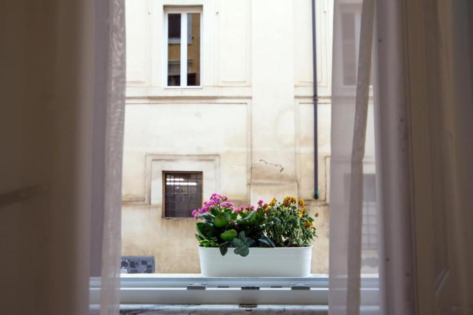 View (from property/room), View (from property/room)