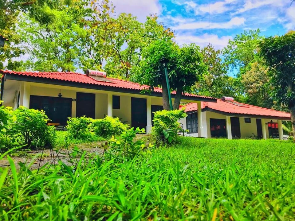 Garden, Garden view