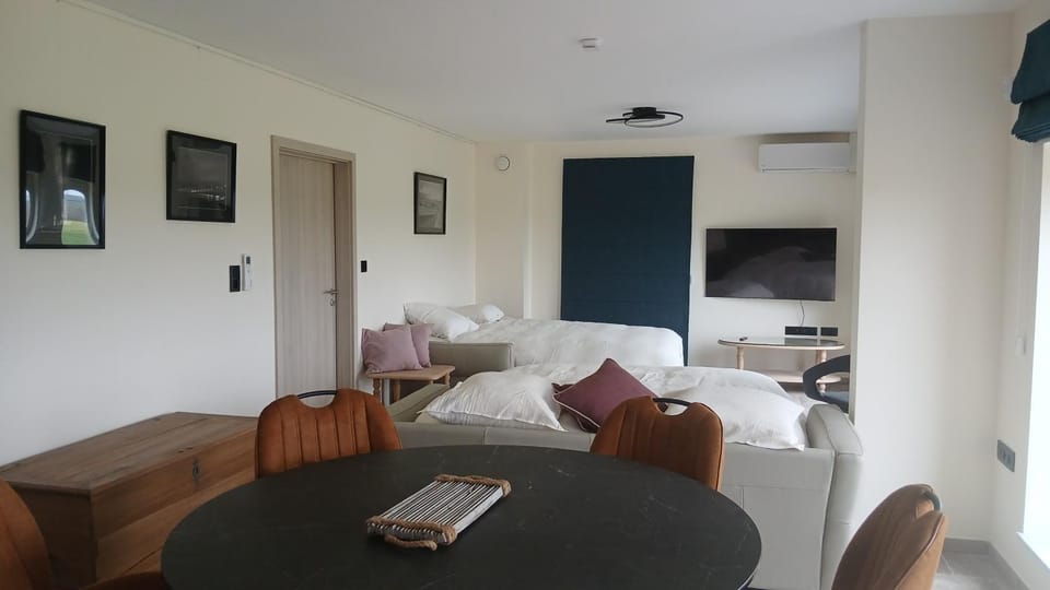 Bed, TV and multimedia, Living room, Seating area