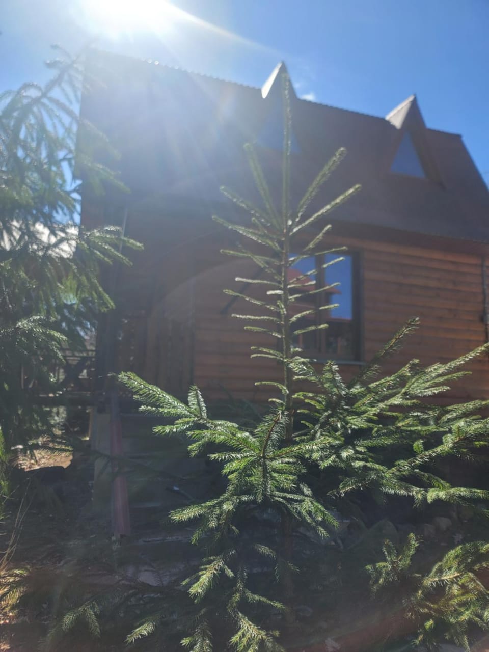Горянка House in Ukraine