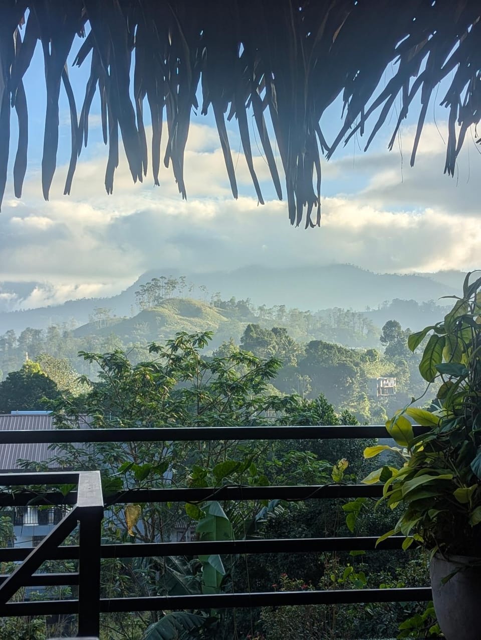 Mountain view