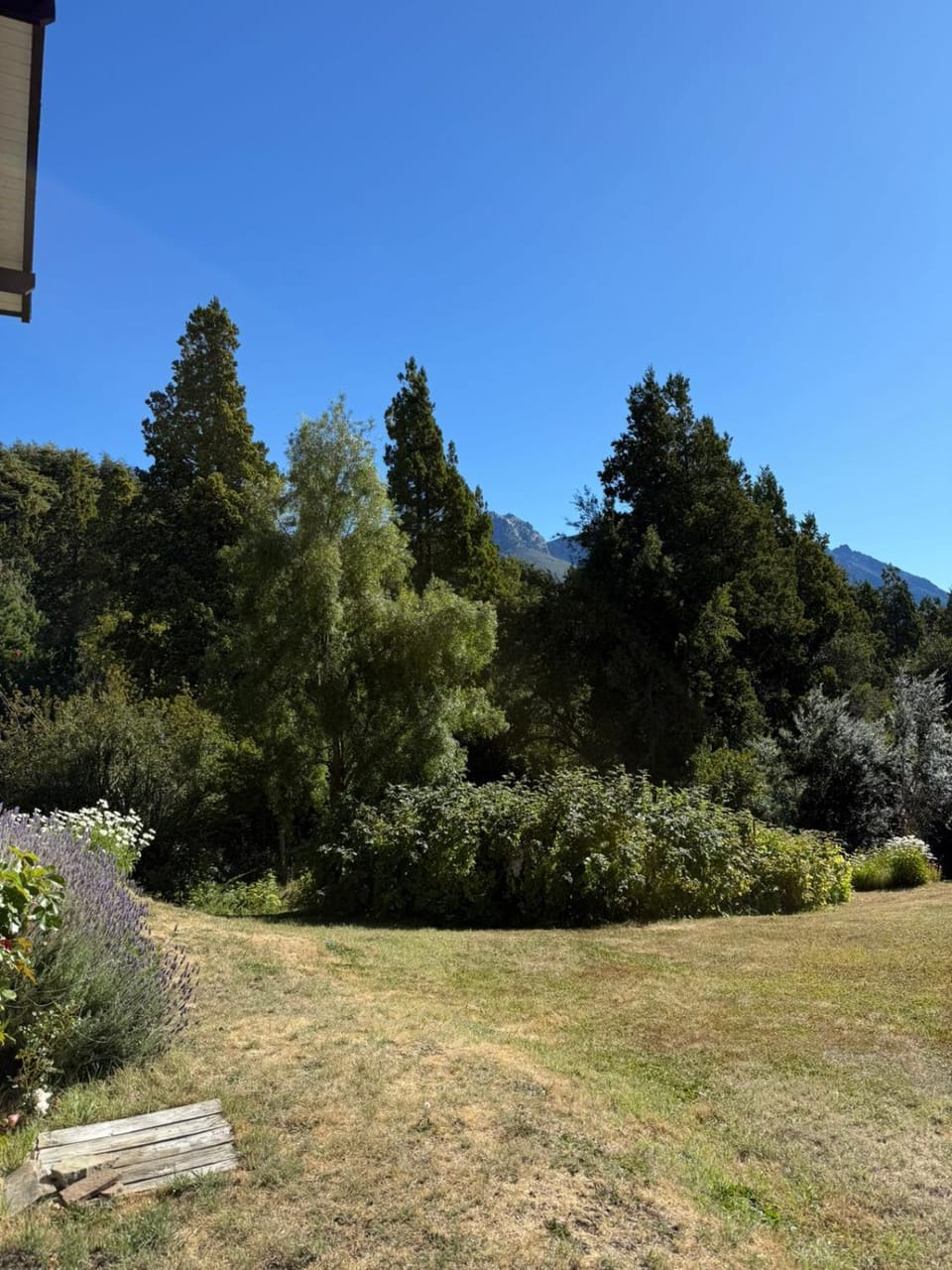 Casiopea bungalo Chalet in Neuquén Province, Argentina