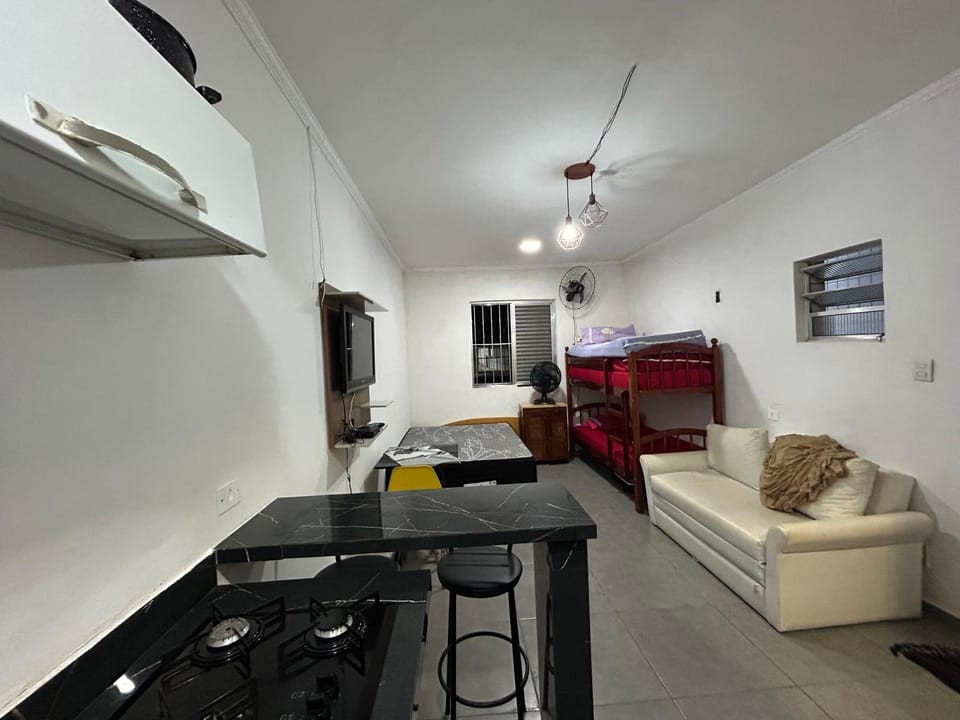 Kitnet Canto do Forte Apartment in State of São Paulo