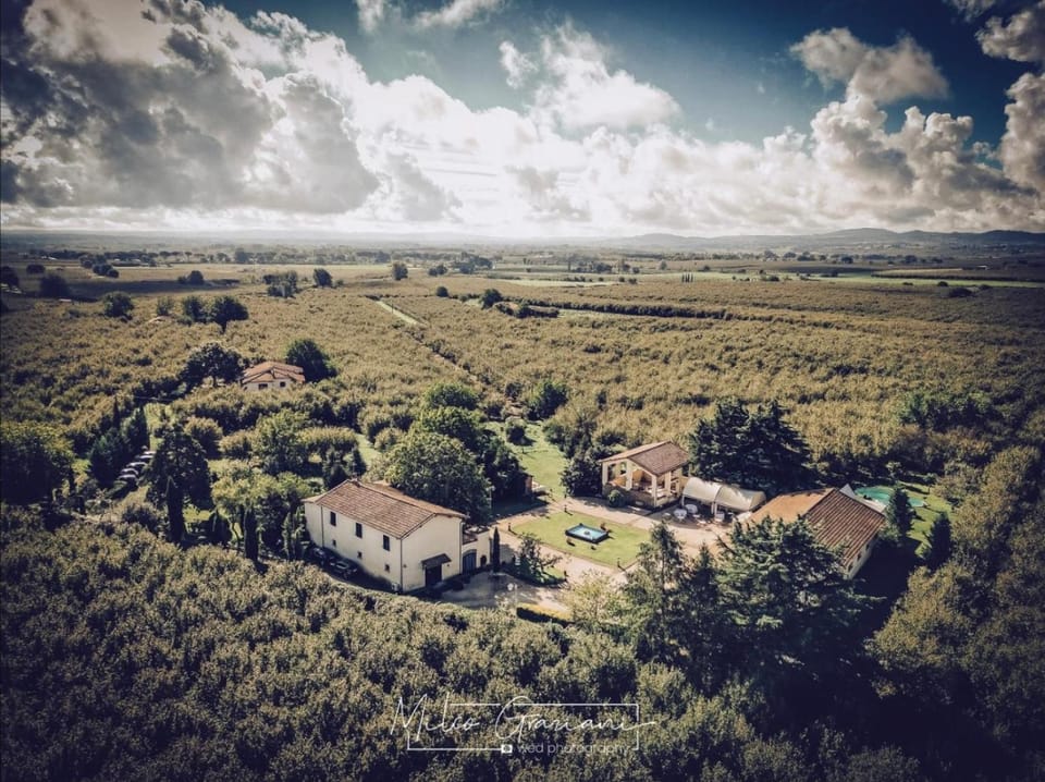 Property building, Natural landscape, Bird's eye view, Garden, Garden view, Swimming pool