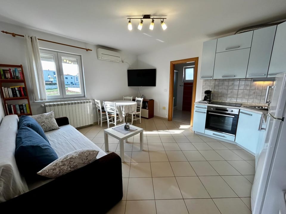 Matteo Apartment in Novigrad