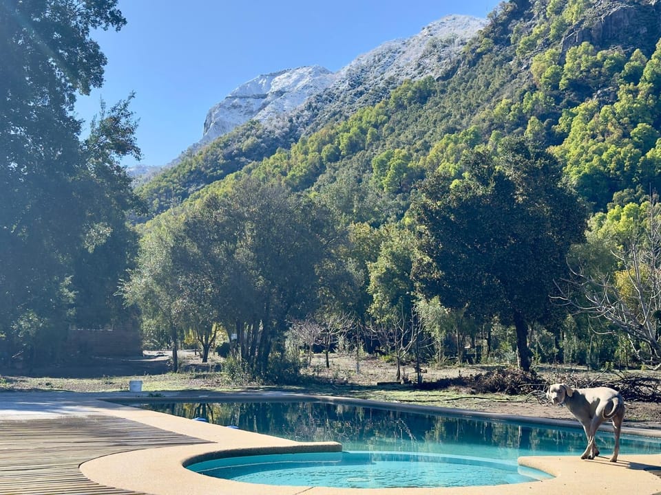 Swimming pool