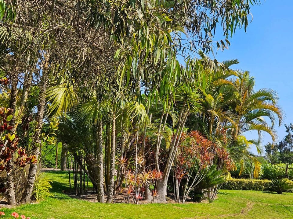 Day, Natural landscape
