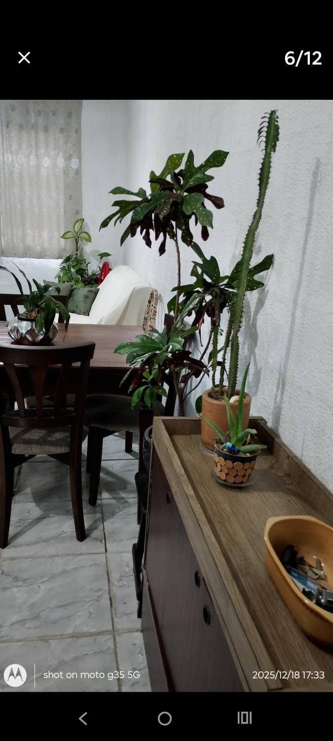 Eva Vacation rental in Vila Velha